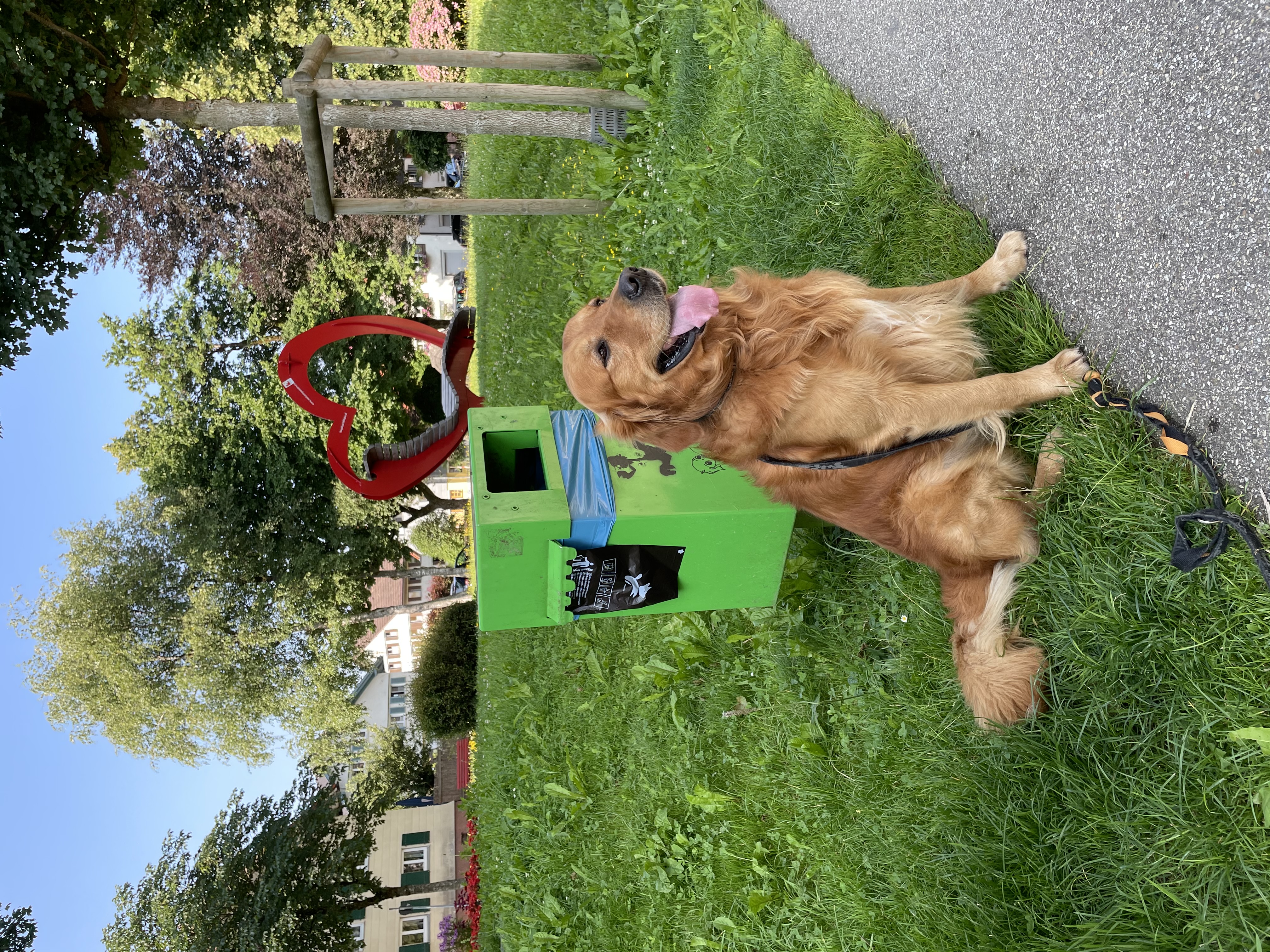  brauner Hund im Park vor einem Robidog-Mülleimer 