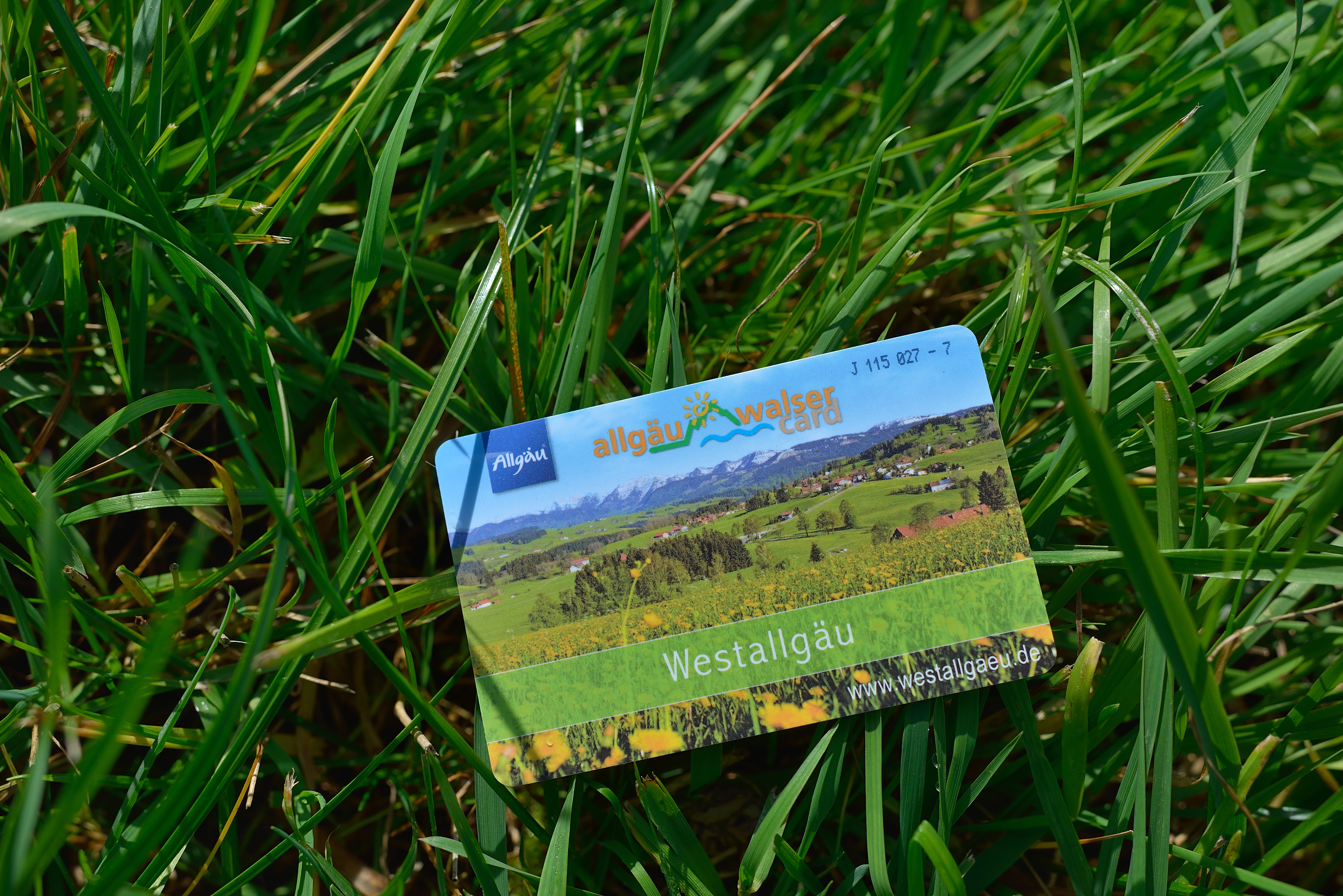  Allgäu-Walser-Card liegt im Gras - das Bild wird mit Klick vergrößert 