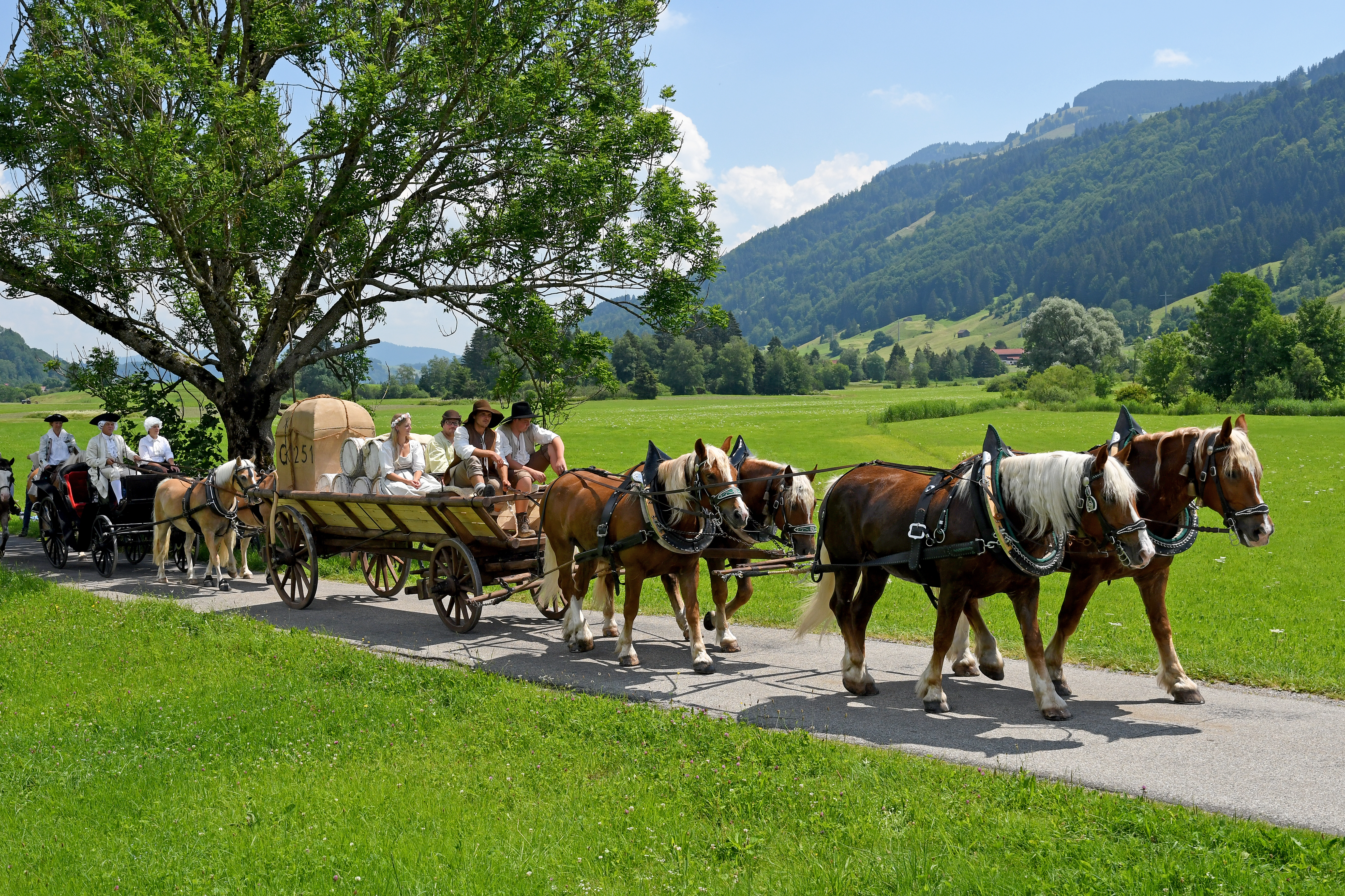  Pferdekutschen auf einer Straße zwischen grünen Wiesen - das Bild wird mit Klick vergrößert 