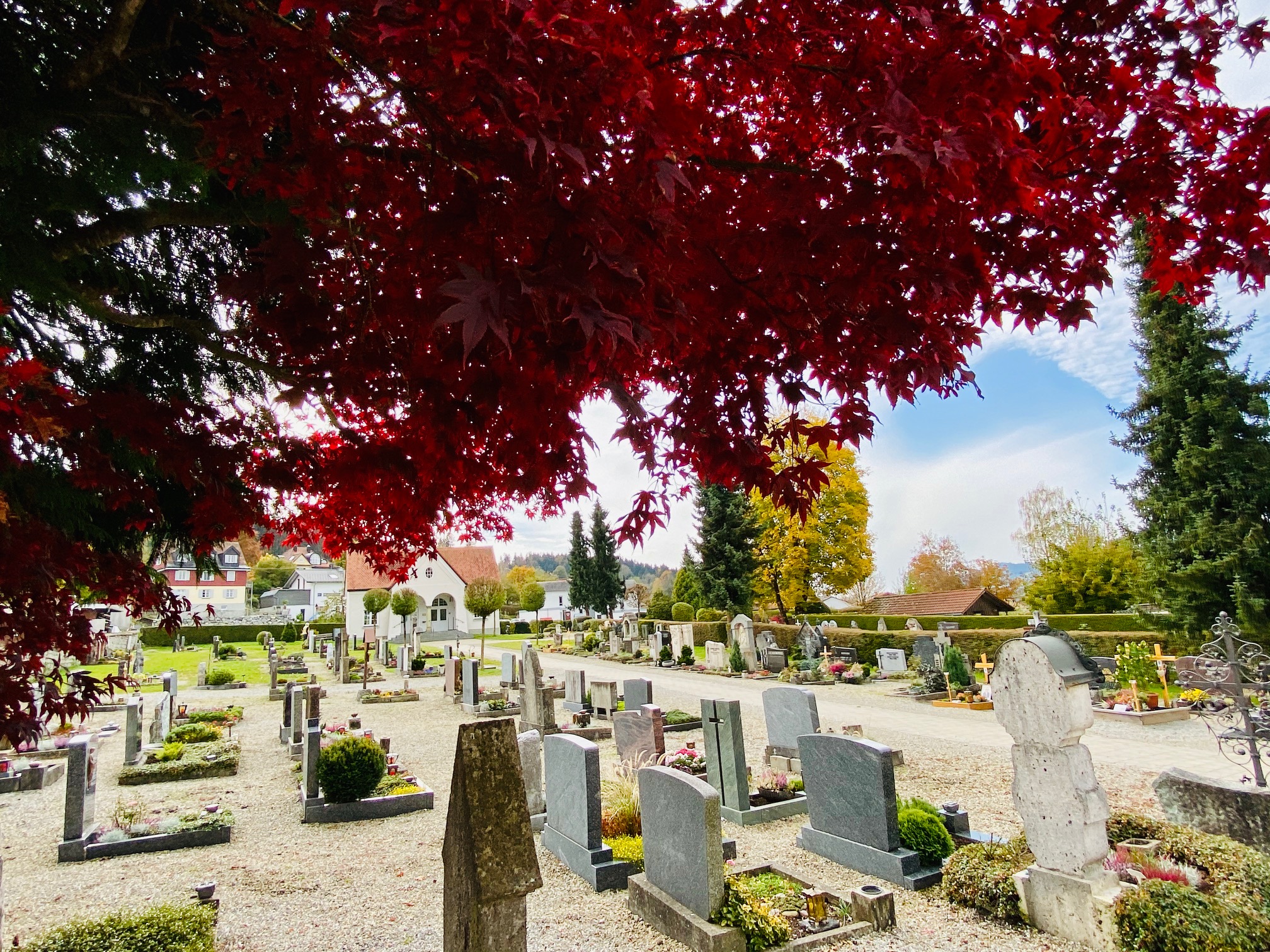  Blick auf den Friedhof Weiler im Allgäu, Grabsteine sind von hinten zu sehen - das Bild wird mit Klick vergrößert 