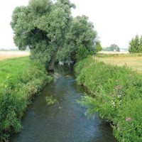 Projekt "Gewässerrandstreifen-Kulisse" Ankündigung von Gewässerbegehungen im Landkreis Lindau
